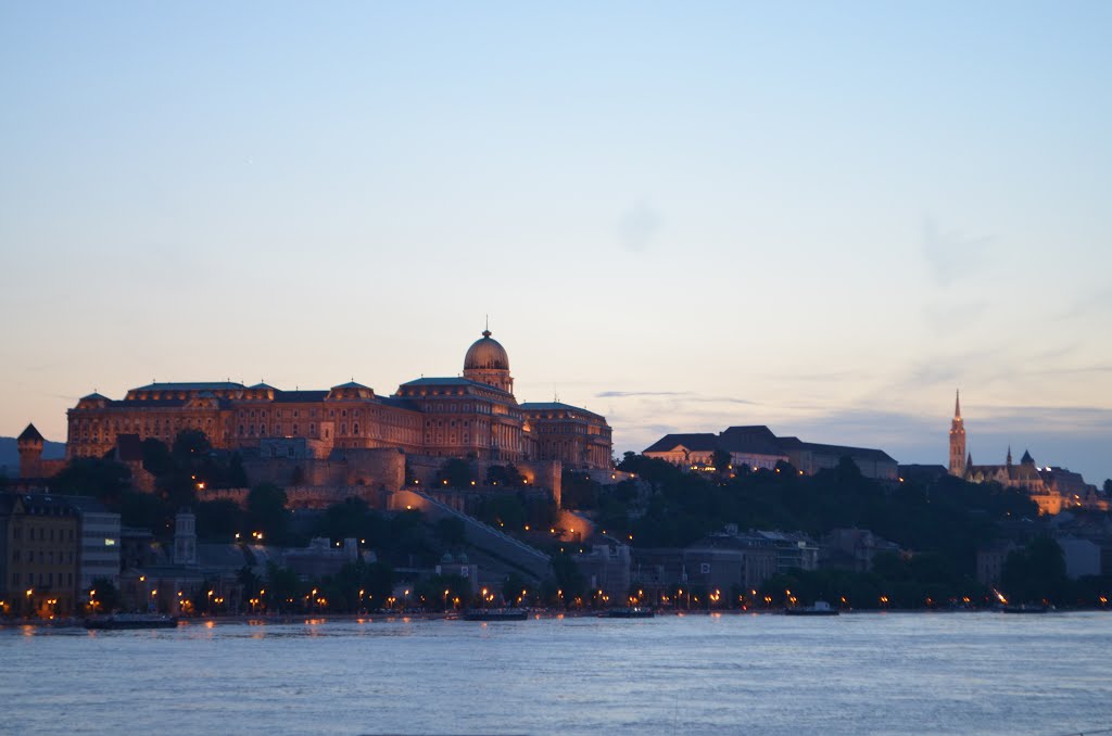Homeopátiás orvosok Budapesten